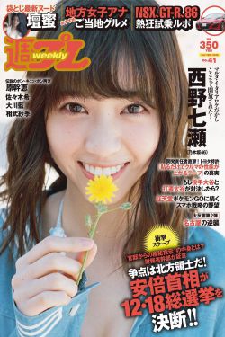 电视剧九五至尊