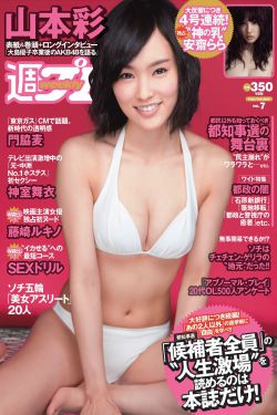 甄子丹最新电影