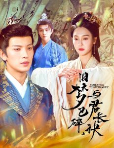 舊夢已碎，與君長訣＆終是深情錯(cuò)付君
