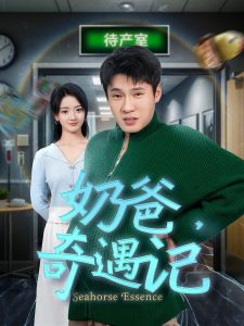 奶爸奇遇記