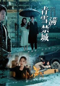 青雪滿禁城